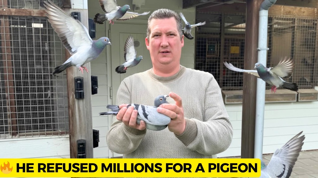 Он отказался от миллионов: нерассказанная история золотого правила Рика Херманса