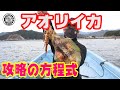 これで釣れる!アオリイカ!【ヤエン攻略の方程式】