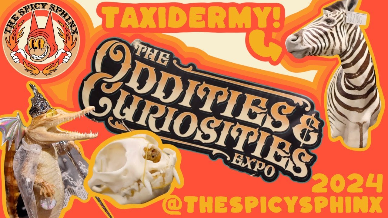 The Oddities & Curiosities Expo 2024 (Las Vegas) - Artwork, Taxidermy, Antiques, Apparel, & MORE!