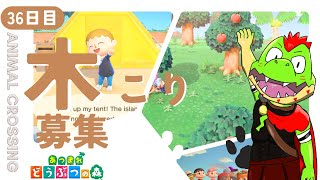【36日目】木こり募集【川鰐グラムのあつまれどうぶつの森実況】（あつ森・ポケ森）