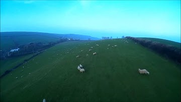 Easystar FPV RC Plane Crash