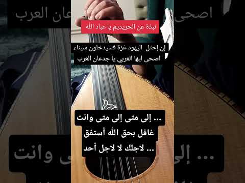 نبذة عن الحريديم مصر الامة العربية الاردن فلسطين العراق سوريا السعودية الخليج العربي المغرب 