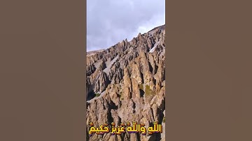 سورة المائدة و..كا،،نك تسمعها لأو،،ل مر،ة🌼.💭،،❤️..💝🌸💐،،💗بصوت الشيخ حمزة مد،بو.ح🌼💮💖.،💚،.🌸🌺،