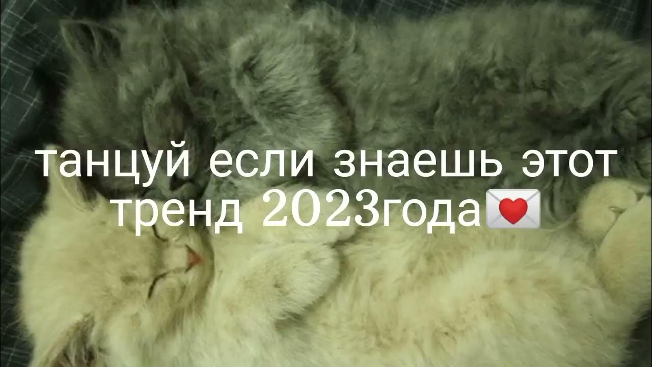Танцуй если знаешь этот тренд. Танцуй если знаешь этот тренд 2021. Песни 2023 года танцуй если знаешь. Танцуй если знаешь этот тренд 2022 youtube. Танцуй если знаешь этот тренд 2022.