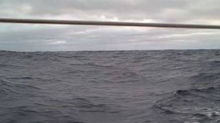 Marion to Bermuda 09 Rhodes41 Hotspur 11.AVI