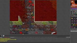 tibiavn ek hunt hero xenobot full afk