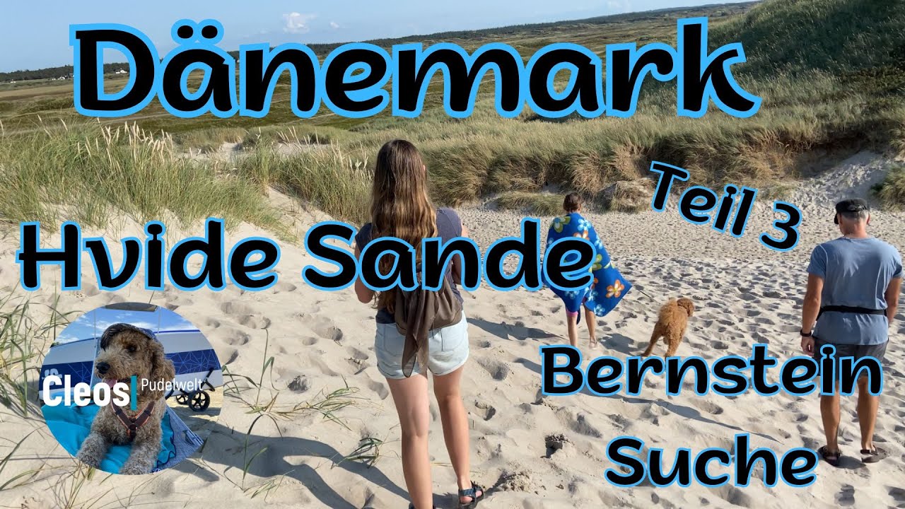 Dänemark Teil 3 Hvide  Sande und Bernsteinsuche