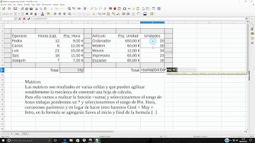 Calc Parte 11 (Matrices y Pegado especial)
