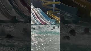 Dacian experiences #aquapark #water #waterpark #fun #hydromania #italy #travel #rome