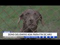 BONO SOLIDARIO ADA EN PRO DE LOS PELUDITOS DE CARTAGO