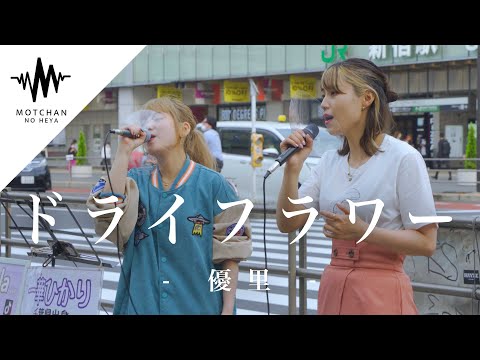 【歌うま】偶然遭遇した路上ライブがマジで最高すぎてやばかった!! ドライフラワー / 優里 （Covered By Soala  & 一華ひかり）