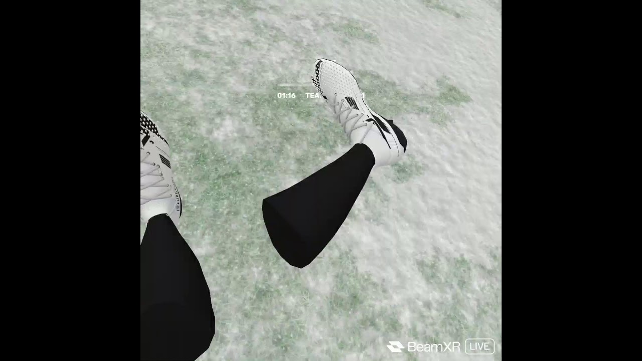 VRFS Pubs (VR Football Simulator)