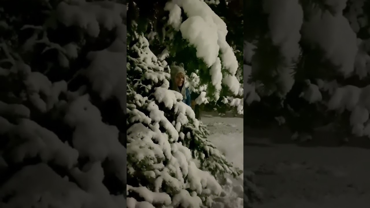 Eco hat. Felted hat cat 🐈!