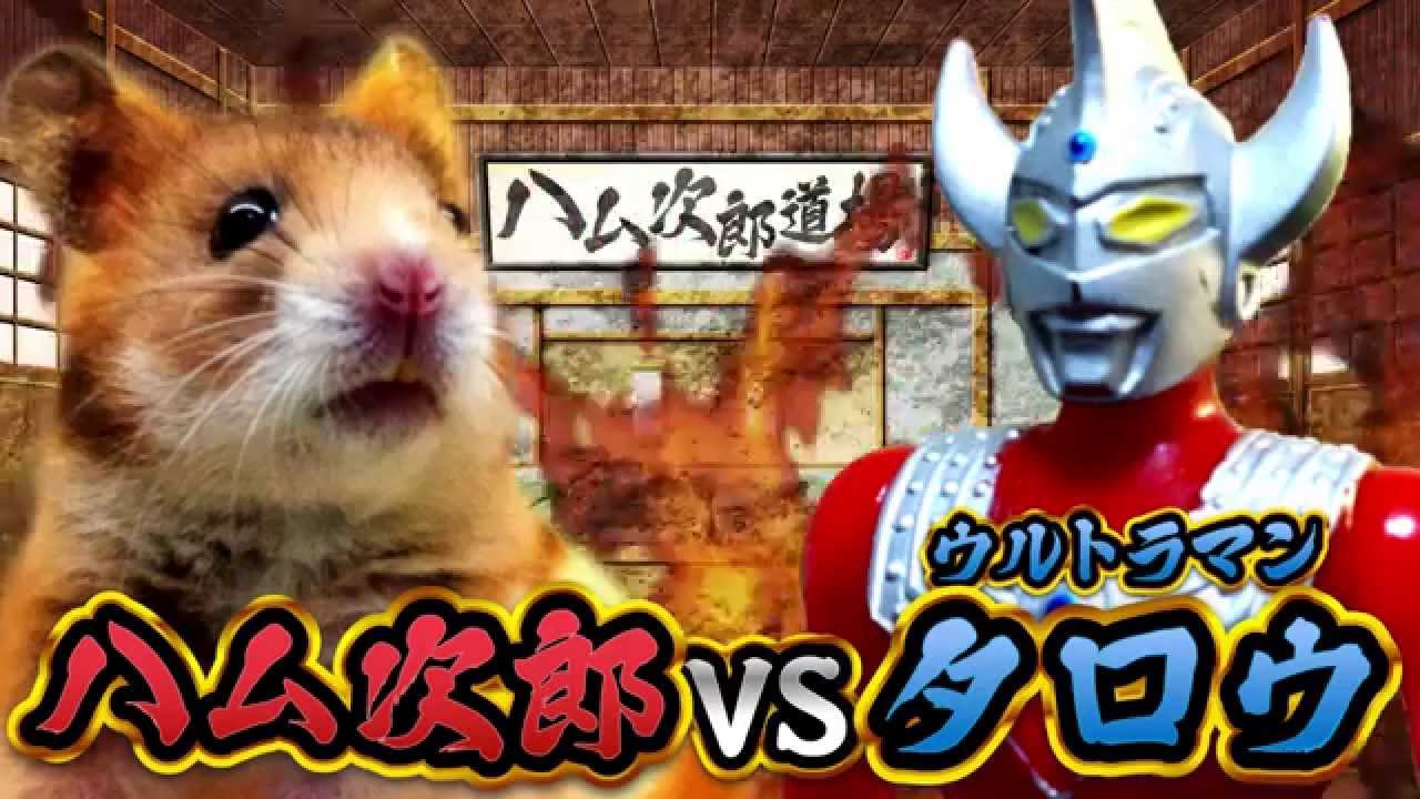 ウルトラマンタロウ Vs ハム次郎 Ultraman Taro Vs Ham Jiro Youtube
