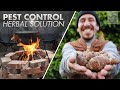 How to make Organic Pest Control Herbal Solution