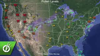 Seasonal Allergy Forecast: Pollen and Mold Counts, October 26, 2020
