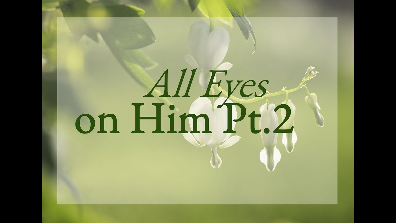 All Eyes On Him Pt 2 SD 480p YouTube