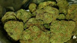 Battle of the THCA - TSB vs. Str8Fire Preview Clip. Which one will be the best?