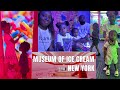 Family Vlog: Birthday Party | Surprise Visit To Ice Cream Museum In NYC | Family Fun