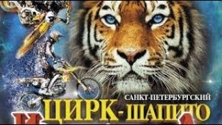 Цирк "Империал" в Новороссийске 2019