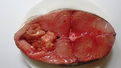 Học lỏm cách nấu bún cá thu ngon chuẩn vị miền Trung