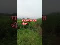 #शेतकरीbrand #गांव #vlog #पेरणी #शेती #villagelife