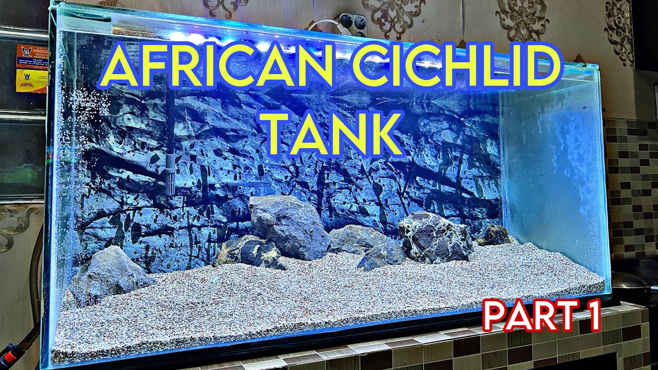 Curated visual reference: Fresh Look at Set Up African Cichlid Tank Ikancichlid