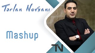 Tərlan Novxanı - Mushap