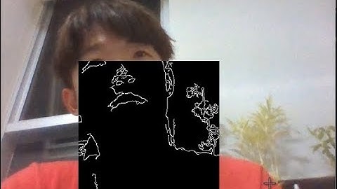 OpenCV 예제 - 웹캠 영상에 실시간 ROI 하기( OpenCV Example - Select ROI on Real time webcam video)