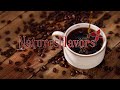 Discover natures flavors premium organic coffee selection