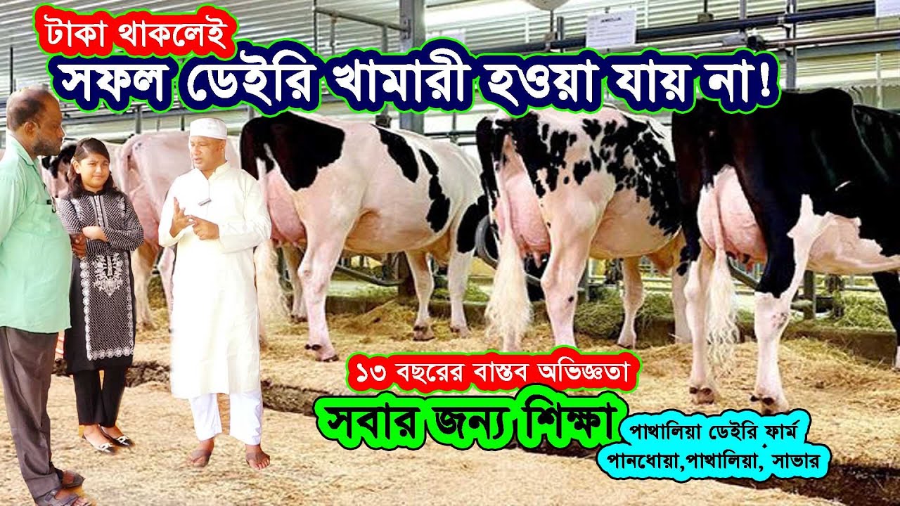গরুর খামারে লোকসানের আসল কারণ জানুন | কিভাবে সফল খামার তৈরি করবেন | Agriculture News |