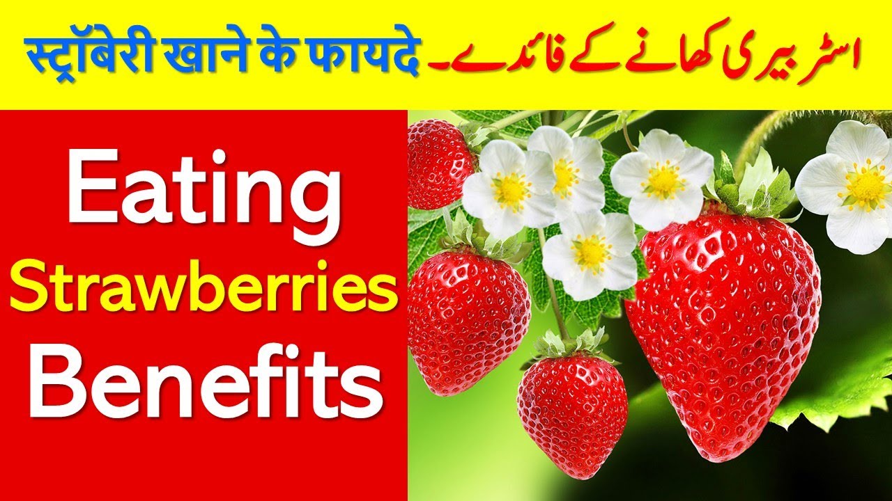 Strawberry Khane Ke Fayde स्ट्रॉबेरी खाने के फायदे Eating