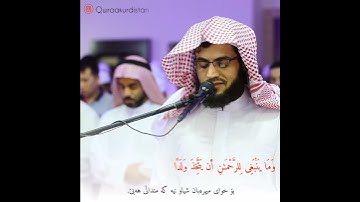 (وما ينبغي للرحمن أن يتخذ ولدا) القارئ رعد الكردي