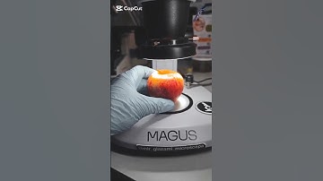 The Invisible World of Microorganisms 🔬✨#thanukascience