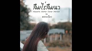 ลืมไร่ลืมนา Acoustic Guitar Cover Version by หลวงเดียว