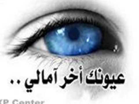 هاني شاكر في كل شارع