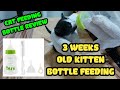 3 WEEKS OLD KITTEN BOTTLE FEEDING | CAT OR DOG FEEDING BOTTLE REVIEW | AALIF CAT LIFE