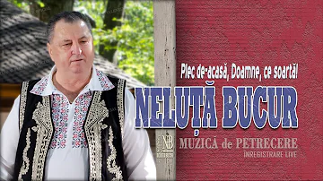 NELUTA BUCUR . Plec de acasa, Doamne, ce soarta! [Colaj de Petrecere]