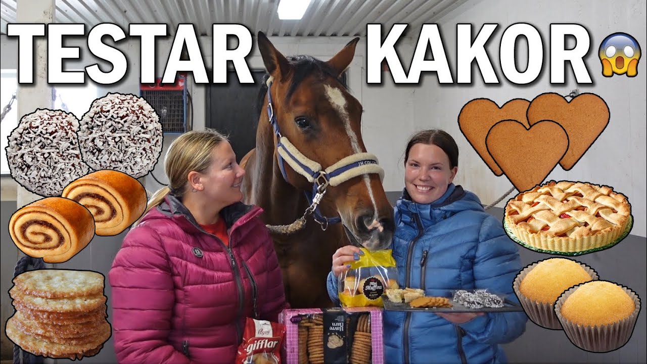 Challenge - Hästarna testar olika sorters fika!