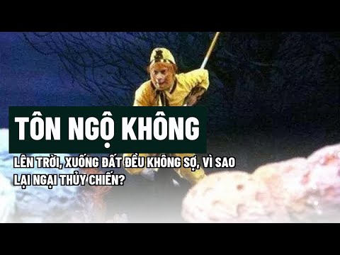 Video Tôn Ngộ Không lên trời, xuống đất đều không sợ, vì sao... - youtube