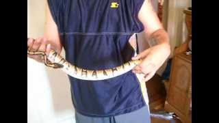 My First Reptile Video