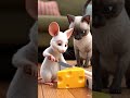 The Jerry that Tom actually likes. 🧀🤝🐱🐭