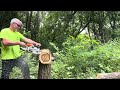 Stihl 201C vs Husqvarna 540mk3
