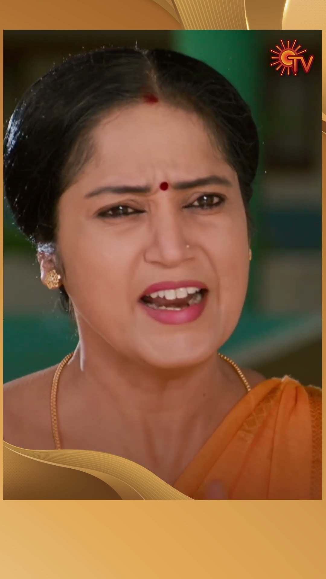 #Ranjani #SunTV #shorts #tamilserial