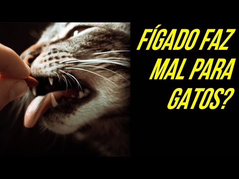 Vídeo: Diarreia Verde em Cães