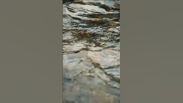 #quran #تلاوة_خاشعة #بحر #اكسبلور #islamicreminder #راحة_نفسية #الظروف #قرآن #الثامن #المراه