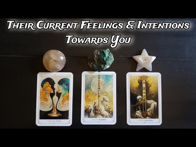 🦭💕 Their Current Feelings u0026 Intentions Towards You! 🧁🦔 Pick A Card Love Reading class=
