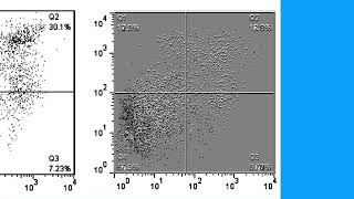 6B7AFA79044E63465866066A7E8706#1