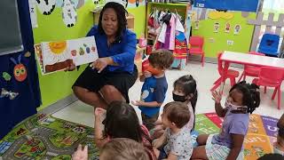 Teaching Practicum - Rosalie Sherwood