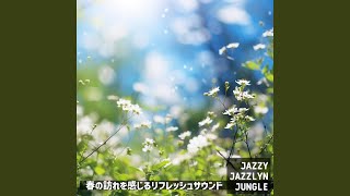 Drowsy Afternoon Harmony